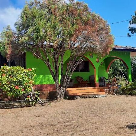 Hospedaje Tropical Dreams South End Exterior photo