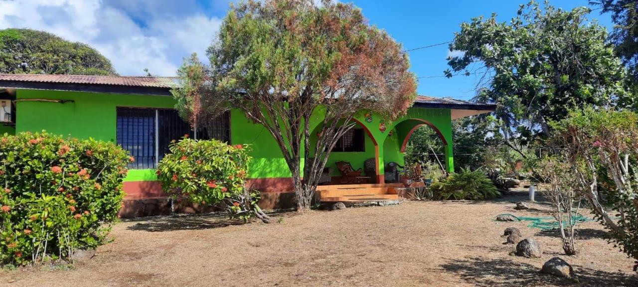 Hospedaje Tropical Dreams South End Exterior photo