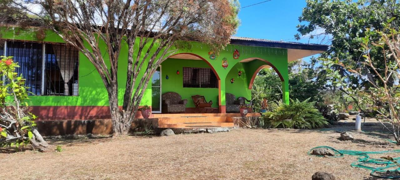 Hospedaje Tropical Dreams South End Exterior photo